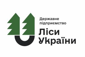Майже 30 мільйонів на запчастини: що збираються ремонтувати “Ліси України”, якщо все давно віддали на аутсорс?